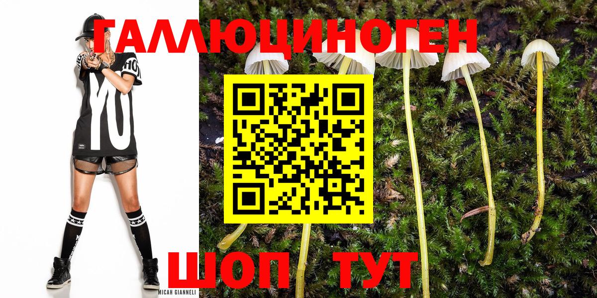 APVP Бугуруслан